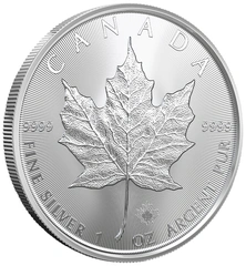Canadian Maple