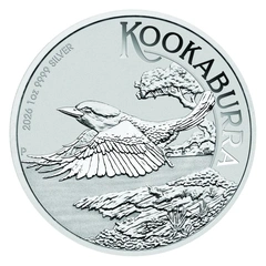 Australian Kookaburra