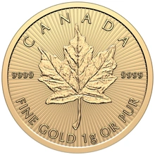 2026 MapleGram 25 x 1 g Moedas de Ouro