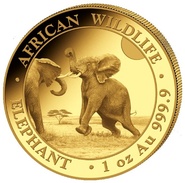 Moeda de Ouro de 1 Onça do Elefante da Somália de 2024