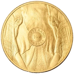 Moeda de Ouro de 1 Onça do Elefante Série dos Big Five 2026