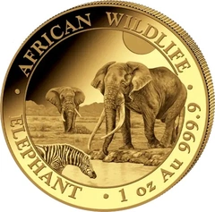 Moeda de Ouro de 1 Onça do Elefante da Somália de 2026
